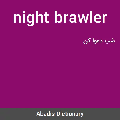 معنی night brawler